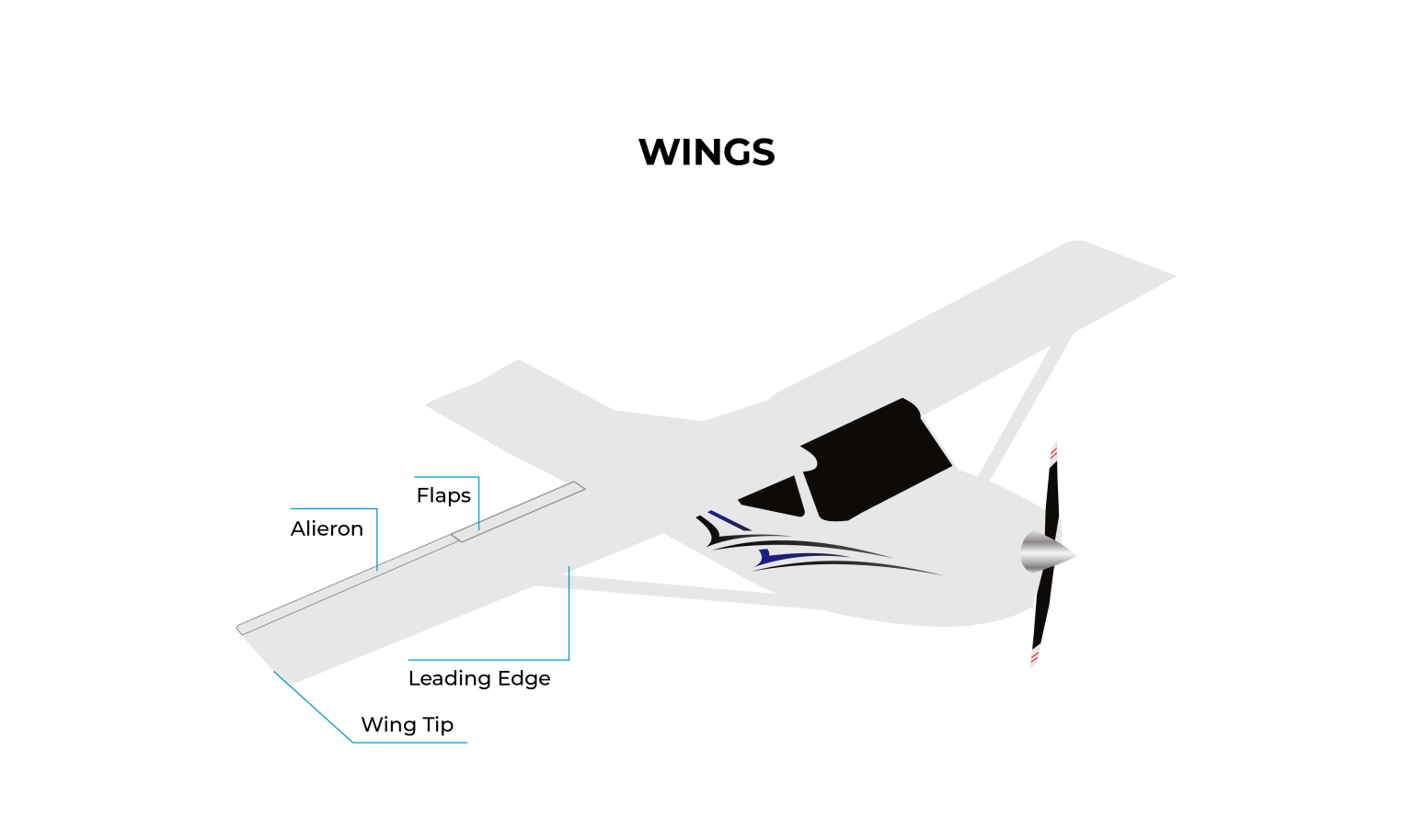飞机各部位名称中英文对照:机翼、襟翼、方向舵等术语解析 - FlightWaypoint
